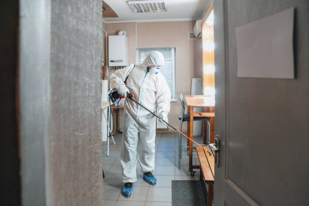 Best Mold-Related Health Consultation  in Versailles, KY
