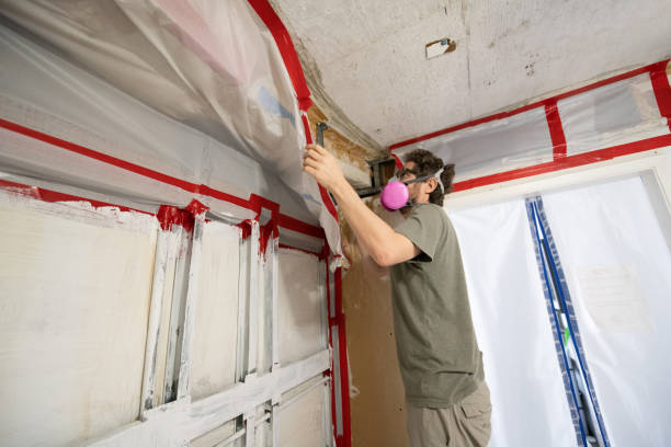 Best Emergency Mold Remediation  in Versailles, KY