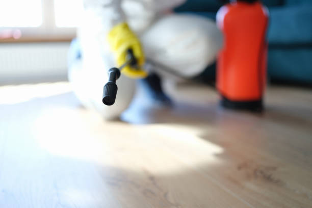 Asbestos and Lead Testing During Mold Inspection in Versailles, KY