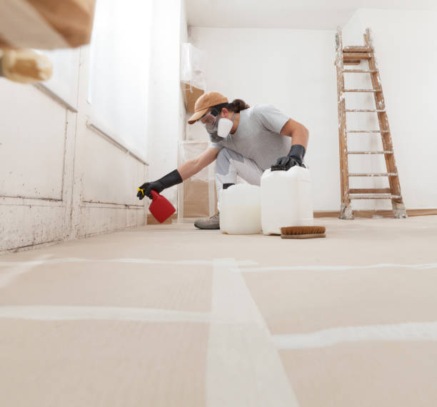 Best Mold Remediation for Healthcare Facilities  in Versailles, KY