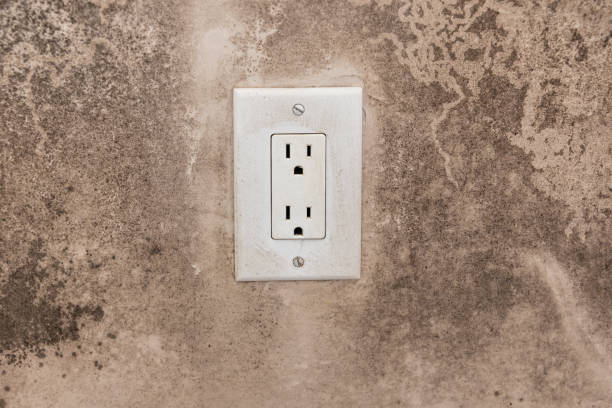 Best Mold Removal for HVAC Installations  in Versailles, KY